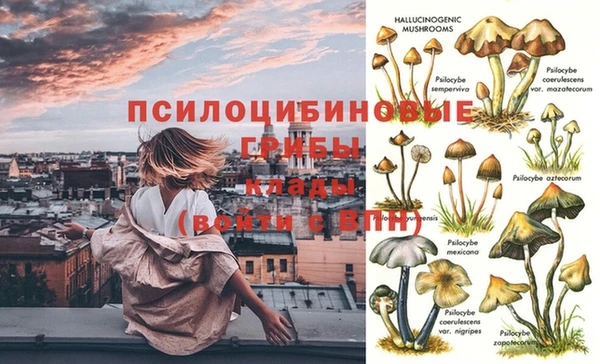 бутират Армянск